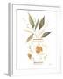 Neutral Floral II-Janet Tava-Framed Art Print