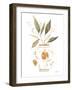 Neutral Floral II-Janet Tava-Framed Art Print