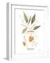 Neutral Floral II-Janet Tava-Framed Art Print