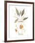 Neutral Floral II-Janet Tava-Framed Art Print