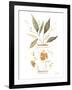 Neutral Floral II-Janet Tava-Framed Art Print