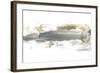 Neutral Geology IV-June Vess-Framed Art Print