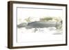 Neutral Geology IV-June Vess-Framed Art Print