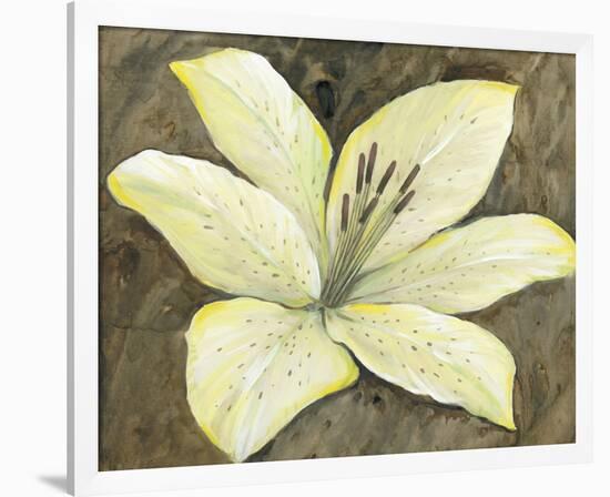 Neutral Lily II-Tim OToole-Framed Art Print