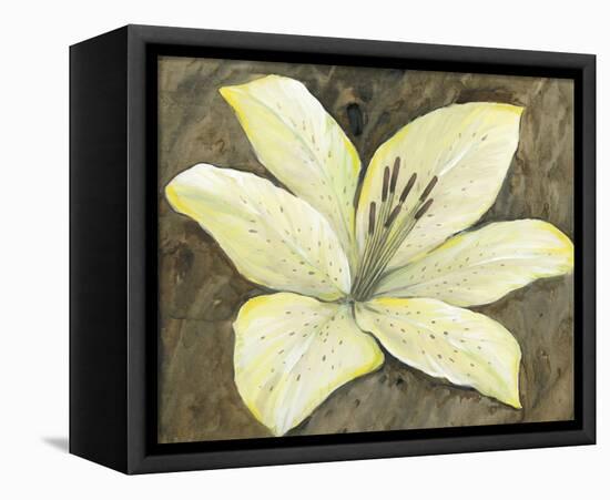 Neutral Lily II-Tim OToole-Framed Stretched Canvas