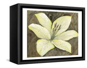 Neutral Lily II-Tim OToole-Framed Stretched Canvas