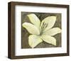 Neutral Lily II-Tim OToole-Framed Art Print