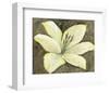 Neutral Lily II-Tim OToole-Framed Art Print