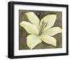 Neutral Lily II-Tim OToole-Framed Art Print