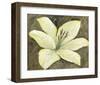 Neutral Lily II-Tim OToole-Framed Art Print