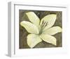 Neutral Lily II-Tim OToole-Framed Art Print