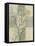 Neutral Linen Blossoms II-Norman Wyatt Jr.-Framed Stretched Canvas