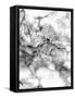 Neutral Marble-Kim Curinga-Framed Stretched Canvas