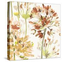 Neutral Medley V-Wild Apple Portfolio-Stretched Canvas