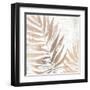 Neutral Palm Fossil II-June Vess-Framed Art Print