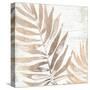 Neutral Palm Fossil II-June Vess-Stretched Canvas