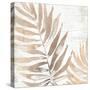 Neutral Palm Fossil II-June Vess-Stretched Canvas