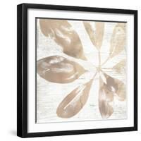 Neutral Palm Fossil III-June Vess-Framed Art Print