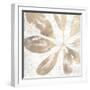 Neutral Palm Fossil III-June Vess-Framed Art Print