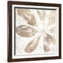 Neutral Palm Fossil III-June Vess-Framed Art Print