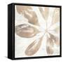 Neutral Palm Fossil III-June Vess-Framed Stretched Canvas