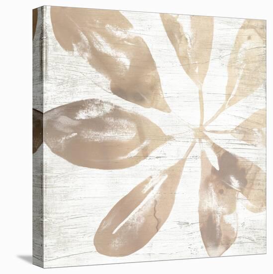Neutral Palm Fossil III-June Vess-Stretched Canvas