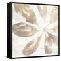 Neutral Palm Fossil III-June Vess-Framed Stretched Canvas