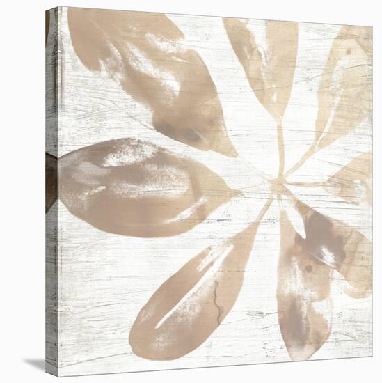 Neutral Palm Fossil III-June Vess-Stretched Canvas