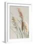 Neutral Pampas Grasses II-Danhui Nai-Framed Art Print