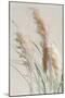 Neutral Pampas Grasses II-Danhui Nai-Mounted Art Print