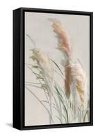 Neutral Pampas Grasses II-Danhui Nai-Framed Stretched Canvas