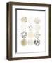 Neutral Pattern Play I-June Vess-Framed Art Print