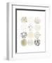 Neutral Pattern Play I-June Vess-Framed Art Print