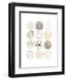 Neutral Pattern Play II-June Vess-Framed Art Print