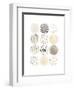 Neutral Pattern Play II-June Vess-Framed Art Print