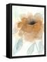 Neutral Peony I-Beverly Dyer-Framed Stretched Canvas
