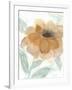 Neutral Peony II-Beverly Dyer-Framed Art Print