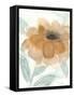 Neutral Peony II-Beverly Dyer-Framed Stretched Canvas