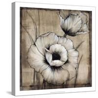 Neutral Poppies I-Tim O'toole-Stretched Canvas