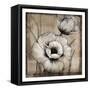 Neutral Poppies I-Tim O'toole-Framed Stretched Canvas