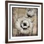 Neutral Poppies I-Tim O'toole-Framed Premium Giclee Print