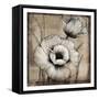 Neutral Poppies I-Tim O'toole-Framed Stretched Canvas