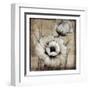 Neutral Poppies I-Tim O'toole-Framed Art Print