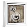 Neutral Poppies II-Tim O'toole-Framed Art Print