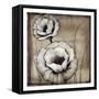 Neutral Poppies II-Tim O'toole-Framed Stretched Canvas