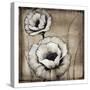 Neutral Poppies II-Tim O'toole-Stretched Canvas