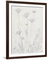 Neutral Queen Anne's Lace II-null-Framed Art Print