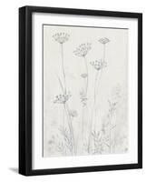 Neutral Queen Anne's Lace II-null-Framed Art Print