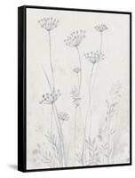 Neutral Queen Anne's Lace II-null-Framed Stretched Canvas