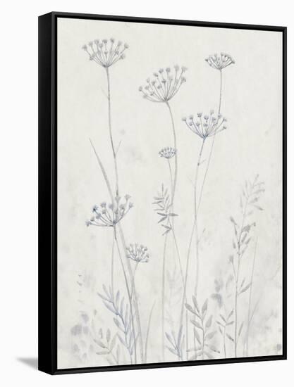 Neutral Queen Anne's Lace II-null-Framed Stretched Canvas